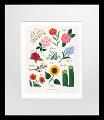 Florals of the United  - Black Box Frame
