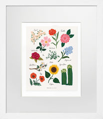 Florals of the United - White Box Frame