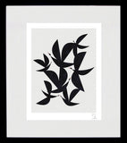 Flying Black Frame