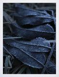 Frost White Frame