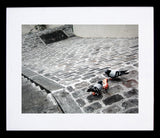 Paris In Grey - Cobblestones And Pigeons Framed