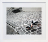 Paris In Grey - Cobblestones And Pigeons Frame White 