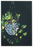 Hanging Plant Unframed