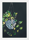 Hanging Plant White Frame