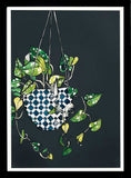 Hanging Plant Black Frame