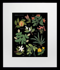 Herbs and Spices Charcoal Black Frame
