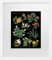 Herbs and Spices Charcoal White Frame