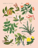 Herbs and Spices Peach