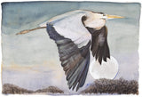 The Lost Words - Heron In Flight Premium Edition Artist Proof