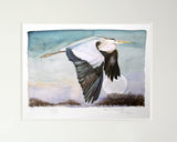 The Lost Words - Heron In Flight Premium Edition Artist Proof Unframed