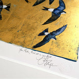 The Book Of Birds - House Martin - Premium Edition