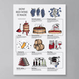 How Red Wine Is Made