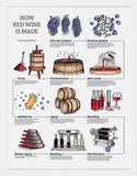 How Red Wine Is Made White Frame