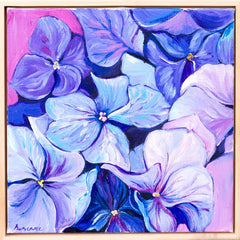 Hydrangea Blues Framed