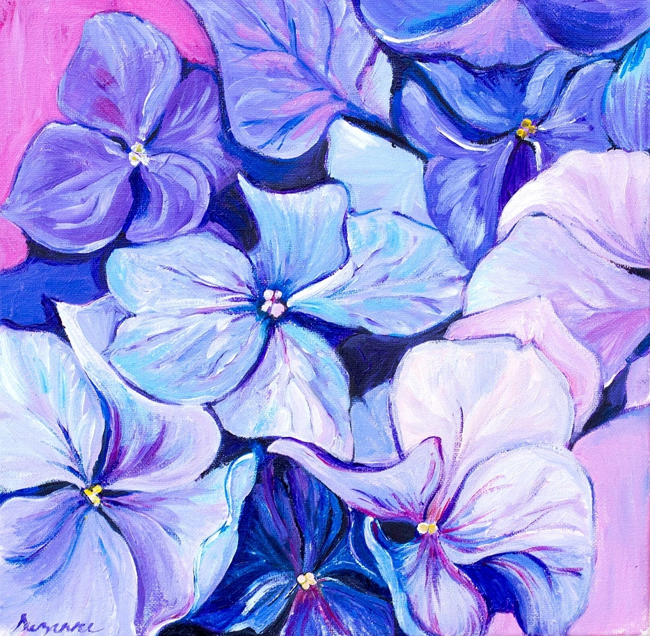 Hydrangea Blues