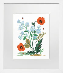 Iceland Poppy White Frame