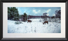 Other - In Winter's Silence Black Bevelled Frame 