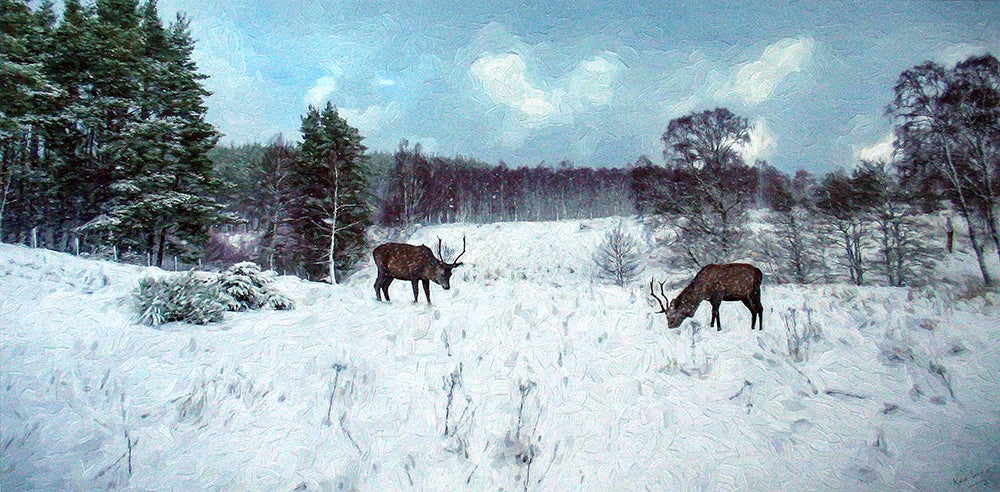 Other - In Winter's Silence