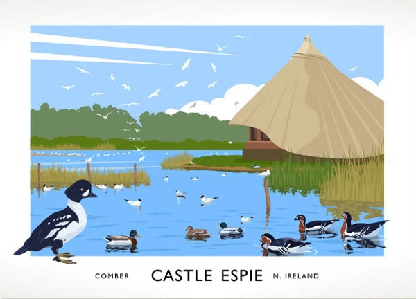 Co Down - Castle Espie Unframed 40x30