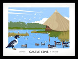Co Down - Castle Espie Frame Black 40x30 No Mount