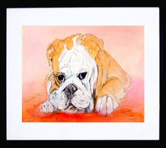 Bull Dog Frame Black