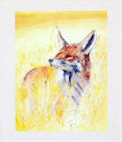 Fox Unframed
