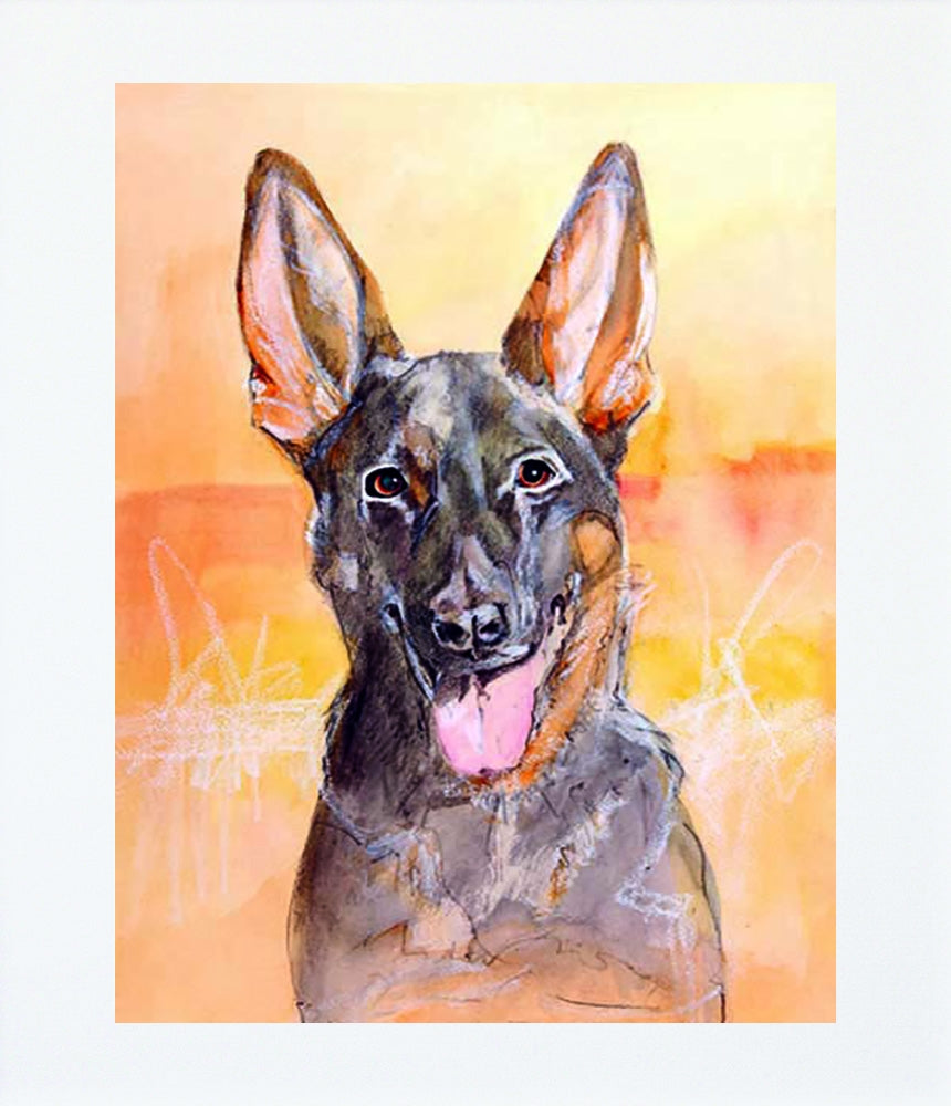 German Shepherd Unframed