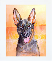 German Shepherd Unframed