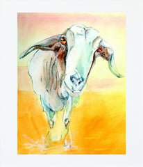 Goat Unframed