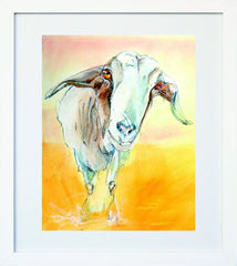 Goat White Frame