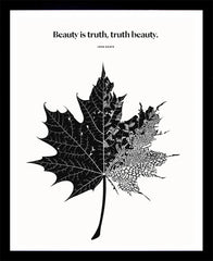 John Keats - Beauty Black Box Frame