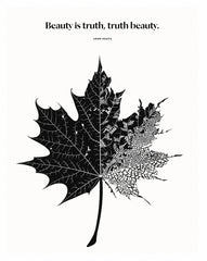 John Keats - Beauty Unframed