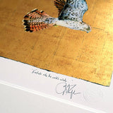 The Book Of Birds - Kestrel - Premium Edition