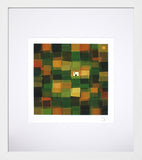 Land - White Box Frame