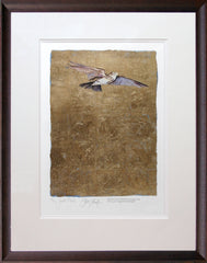 The Lost Words - Lark Framed