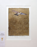 The Lost Words - Lark Unframed