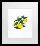 Lemon Blossom - Black Box Frame