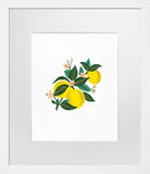 Lemon Blossom - White Box Frame