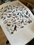 The Lost Spells - Glossary Poster