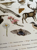 The Lost Spells - Glossary Poster