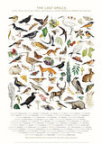 The Lost Spells - Glossary Poster