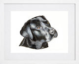 Loyal Lab White Frame