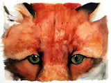 The Lost Spells -  Red Fox