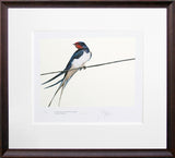 The Lost Spells - Swallow Brown Scoop Frame