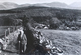Digital Print - Maid Of The Mournes Unframed