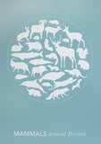 Animals - Mammals Around Britain (Norfolk Blue) Unframed