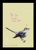 Portrait Of A Mocking Bird