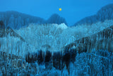 Moonlight Over The Forest