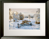 Other - Morning Sun Frame Black Moulded 60x47.5