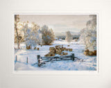 Other - Morning Sun Unframed 60x47.5